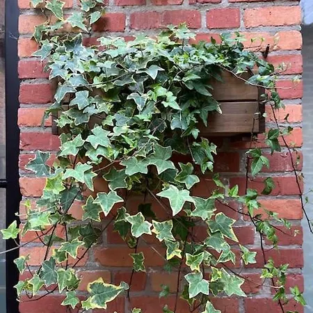 Art Hébergement de vacances